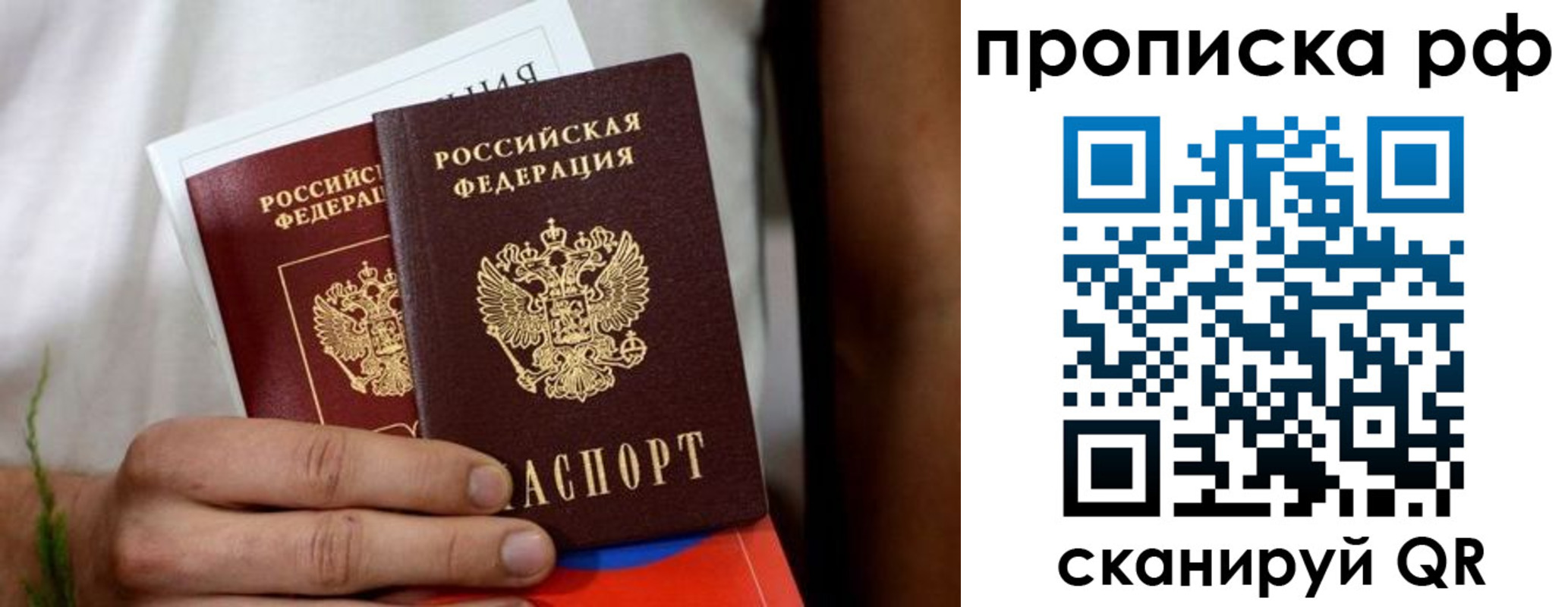 прописка поиск в Муроме